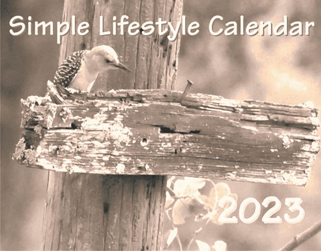 2022 Simple Living Calendar cover image of hibernating frog